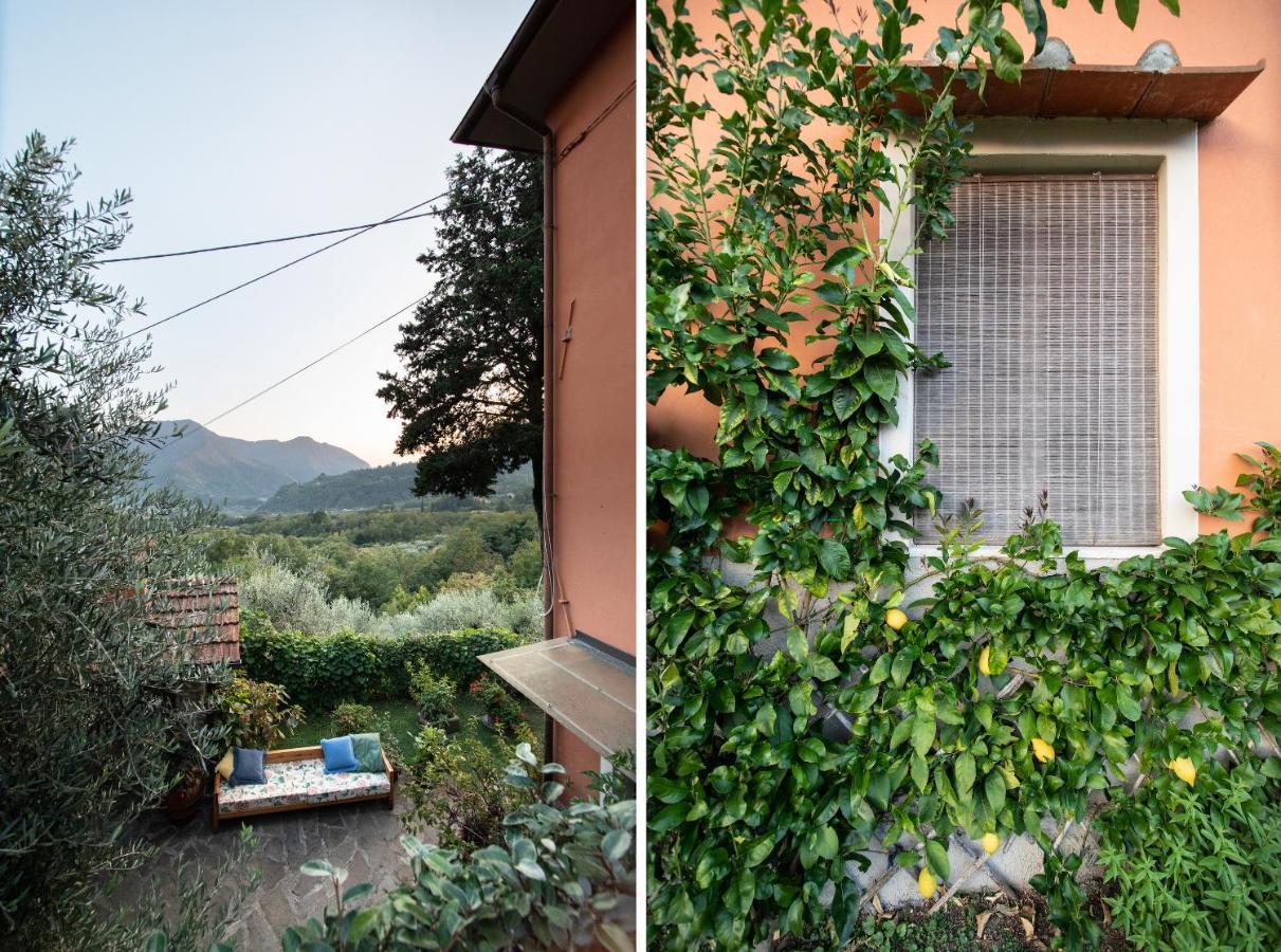 Casetta Di Butia, Mimosa Apartment Borgo a Mozzano Buitenkant foto