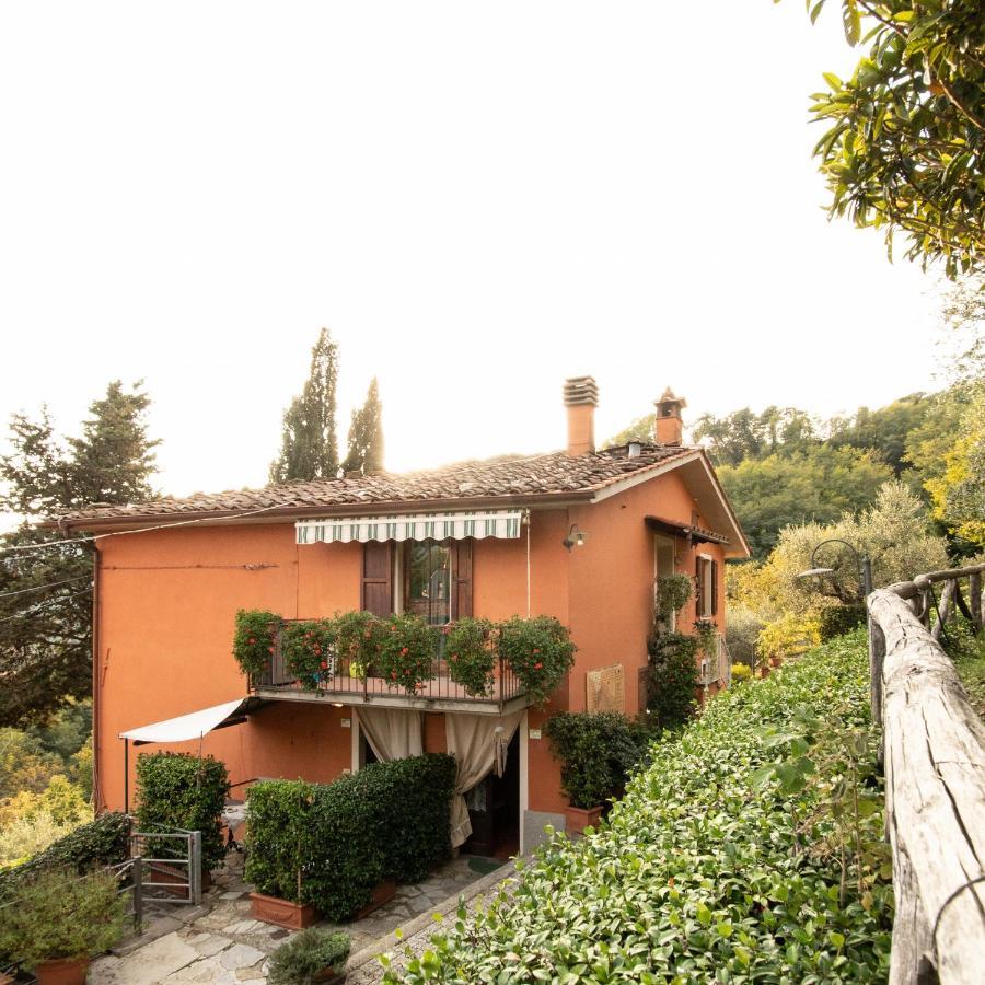 Casetta Di Butia, Mimosa Apartment Borgo a Mozzano Buitenkant foto