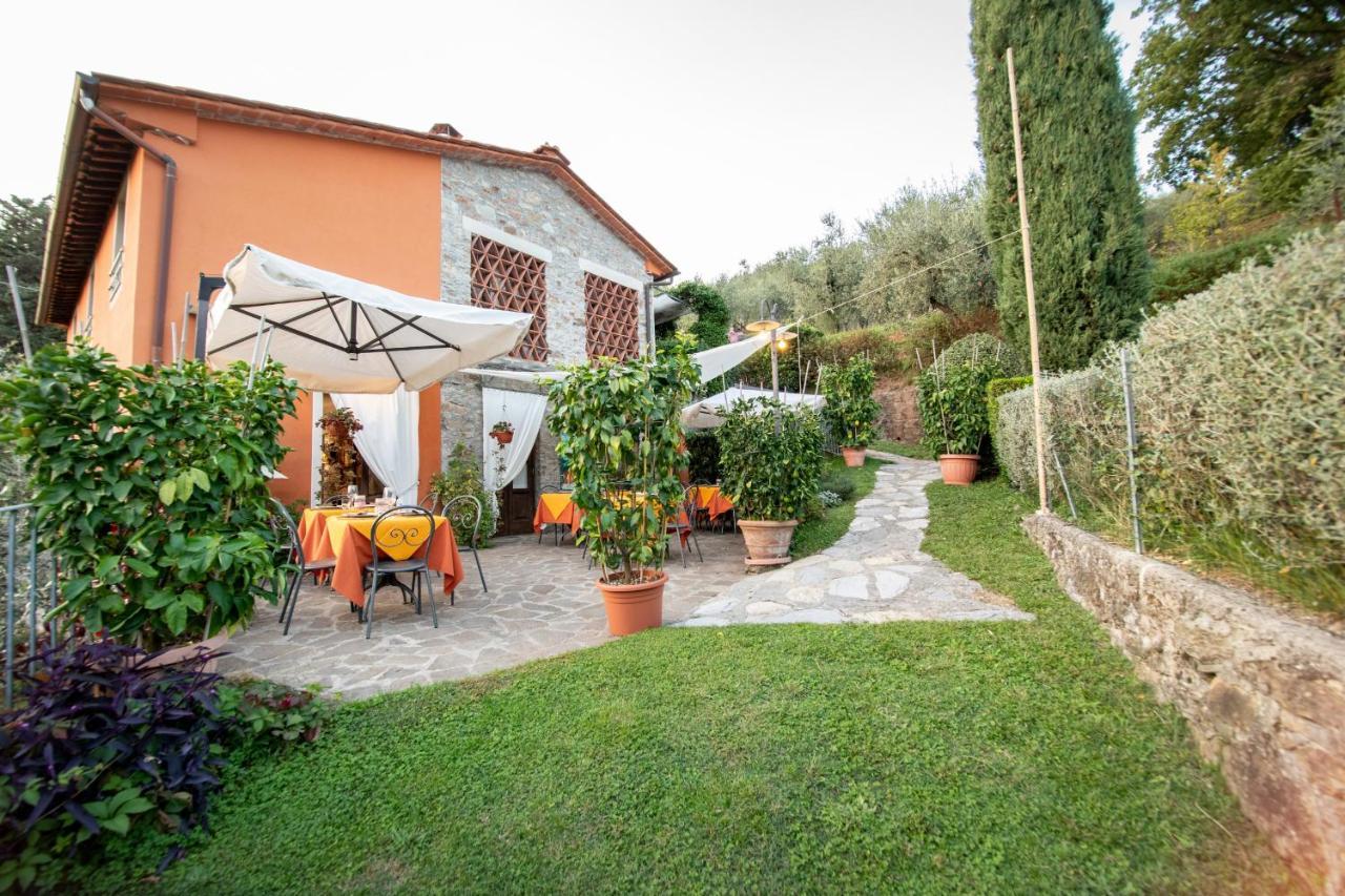 Casetta Di Butia, Mimosa Apartment Borgo a Mozzano Buitenkant foto