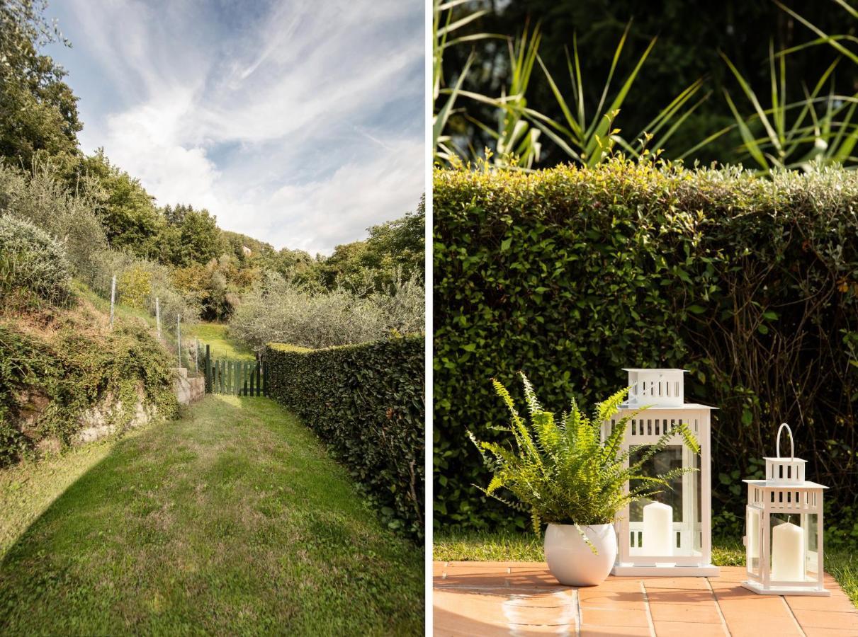 Casetta Di Butia, Mimosa Apartment Borgo a Mozzano Buitenkant foto